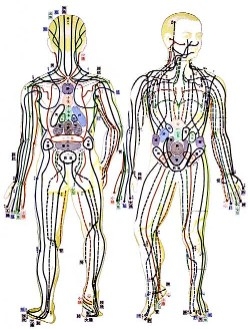 Meridiens reflexologie medecine traditionnelle chinoise